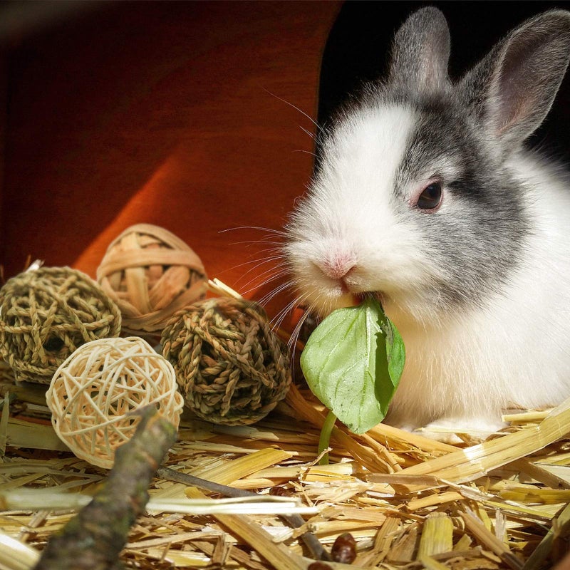 Bac-kitchen 8 Pcs Small Animals Play Balls Rolling Activity Chew Toys Gnawing Treats for Rabbits Guinea Pigs Chinchilla Bunny Natural Balls, Pet Cage Entertainment Accessories (8Pcs) - Image 4